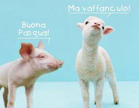 buonapasqua.jpg